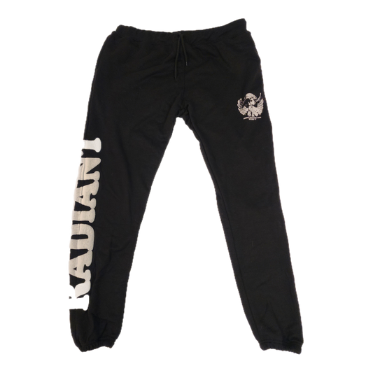 Proven Radiant - "Shine Through The BS Sweats"