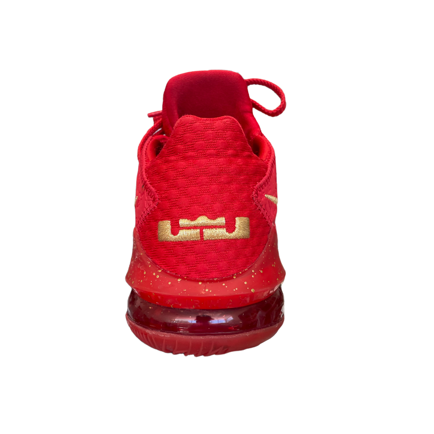 Nike Lebron 17 Titan Size 10