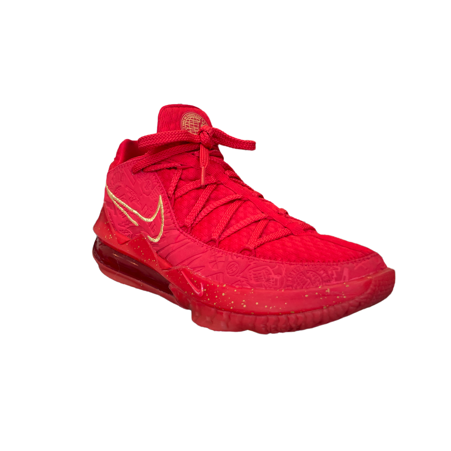 Nike Lebron 17 Titan Size 10